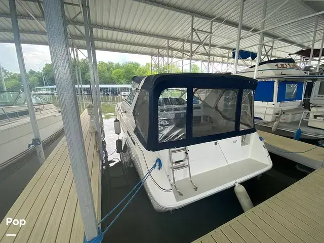 Sea Ray Sundancer 300