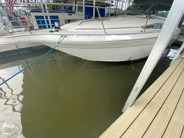 Sea Ray Sundancer 300