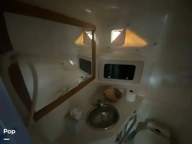 Sea Ray Sundancer 300