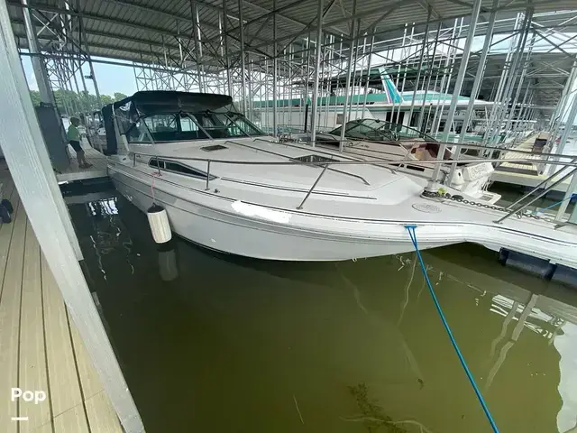 Sea Ray Sundancer 300