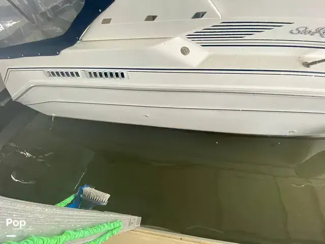 Sea Ray Sundancer 300