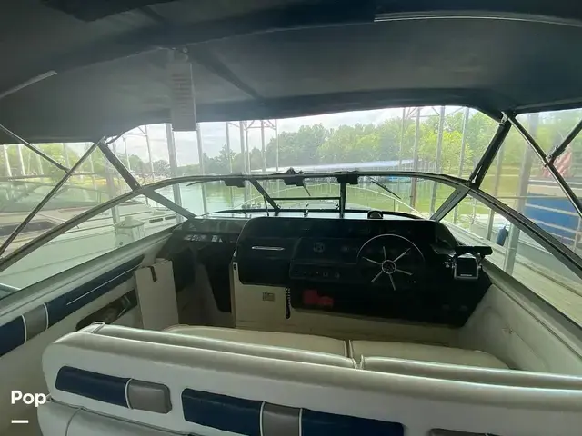 Sea Ray Sundancer 300