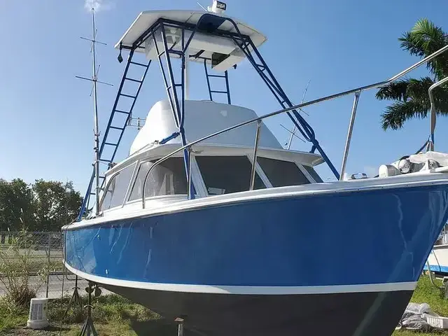 Bertram 31 Sportfisher