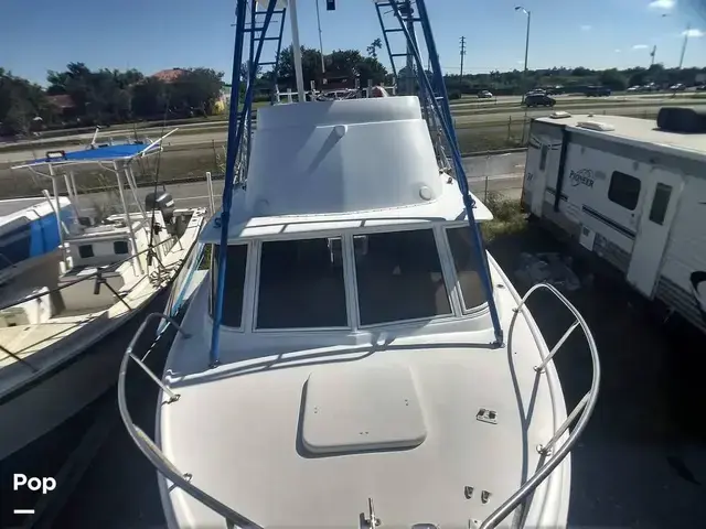 Bertram 31 Sportfisher