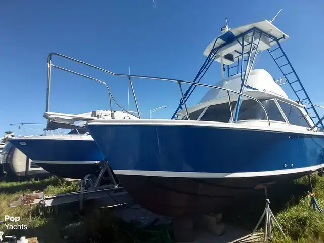 Bertram 31 Sportfisher