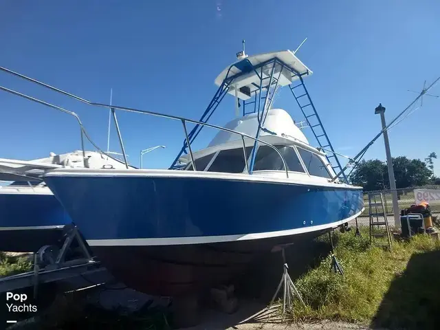 Bertram 31 Sportfisher