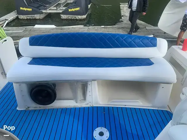 Rinker 330 Fiesta Vee