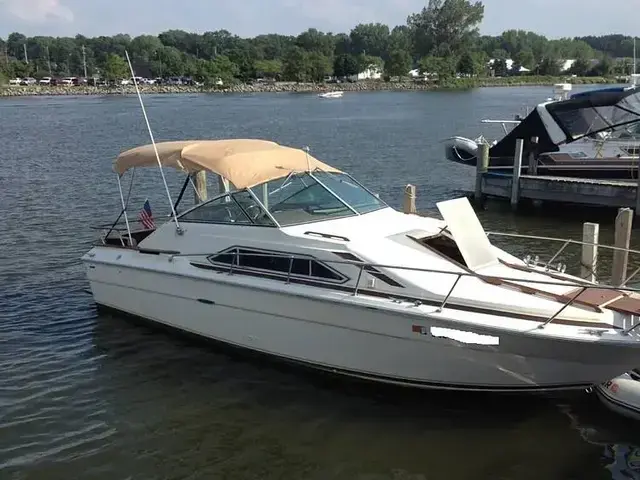 Sea Ray SRV260