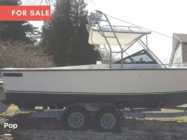 Albemarle Boats 24 Express