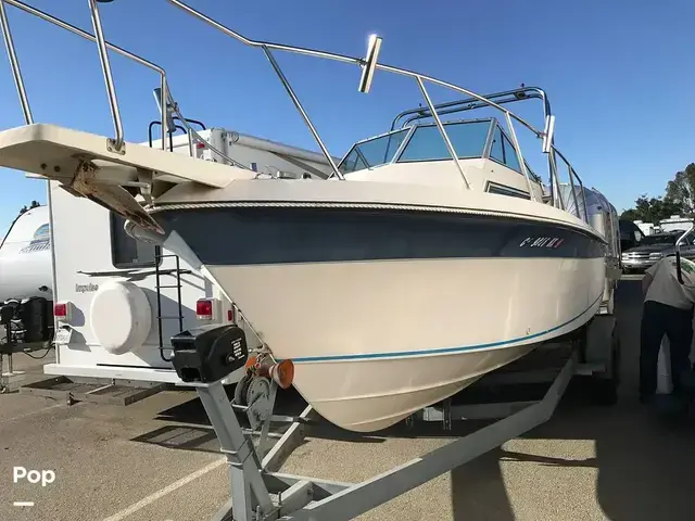 Wellcraft Sportsman 230