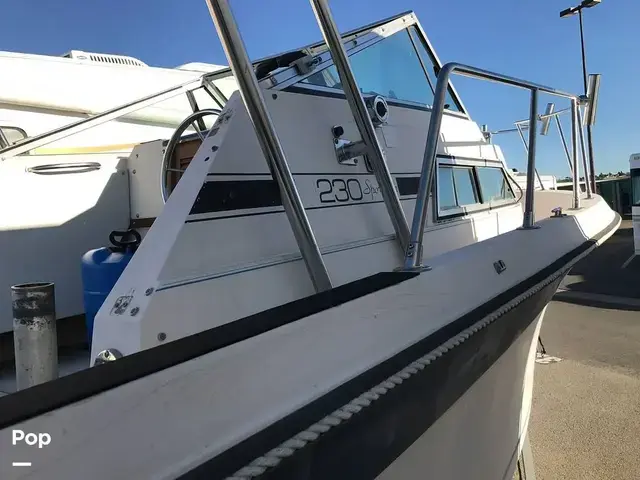 Wellcraft Sportsman 230