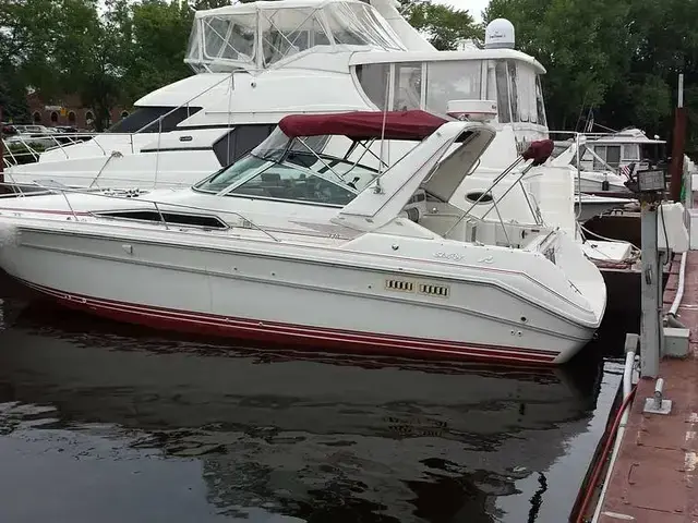 Sea Ray Sundancer 310