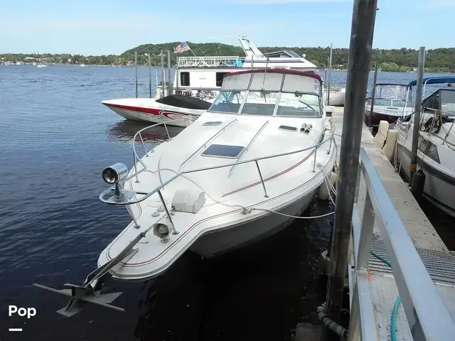 Sea Ray Sundancer 310