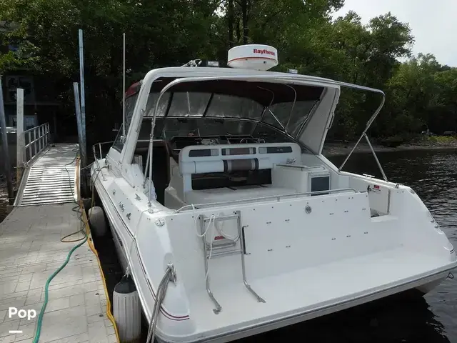 Sea Ray Sundancer 310