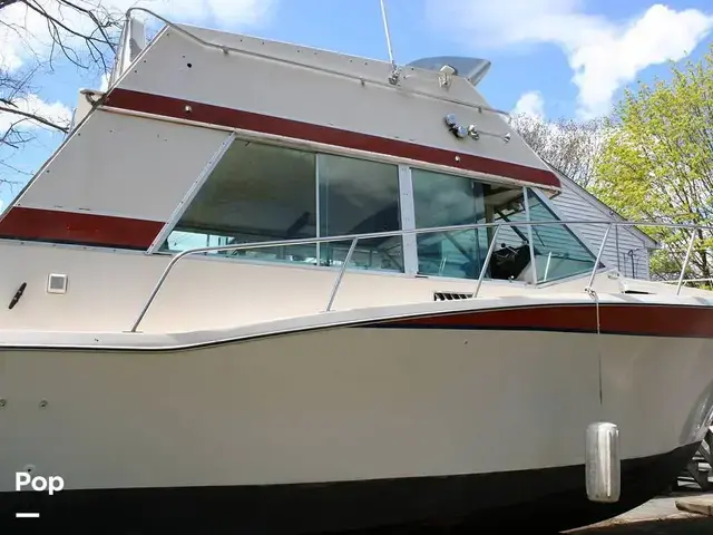 Bayliner 33 Uniflight