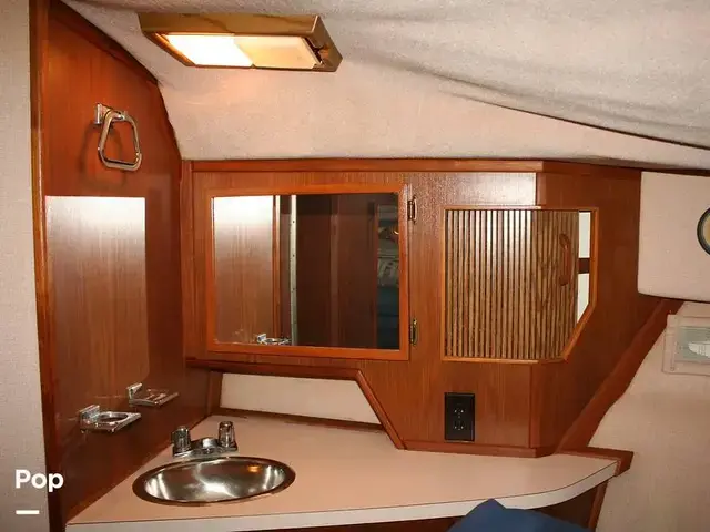 Sea Ray 390 Express Cruiser