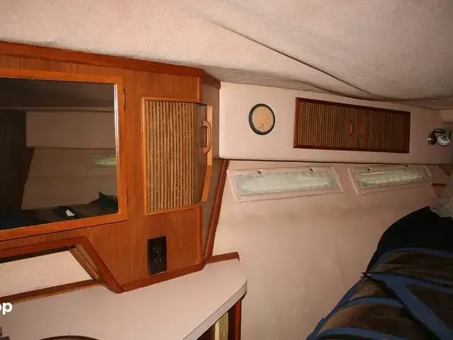 Sea Ray 390 Express Cruiser