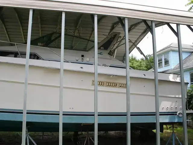 Sea Ray 390 Express Cruiser