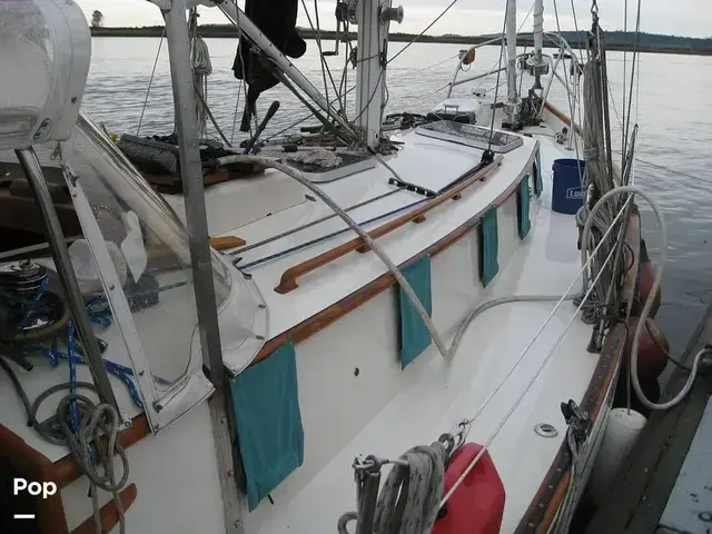 Rafiki 37 Cutter