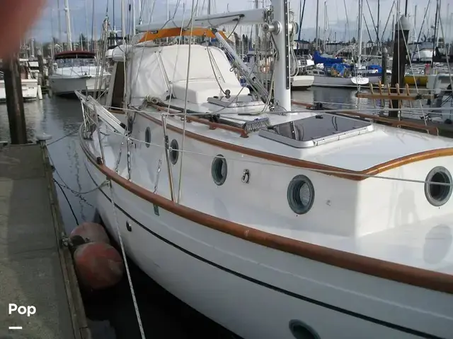 Rafiki 37 Cutter