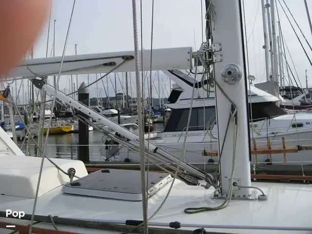 Rafiki 37 Cutter