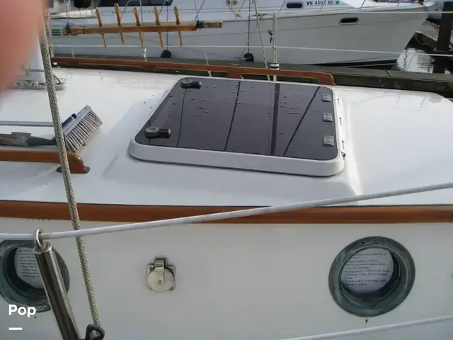 Rafiki 37 Cutter