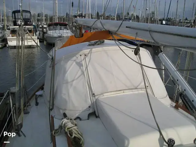 Rafiki 37 Cutter