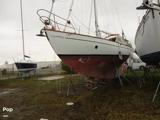 Rafiki 37 Cutter