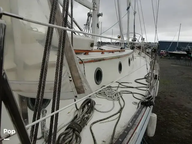 Rafiki 37 Cutter