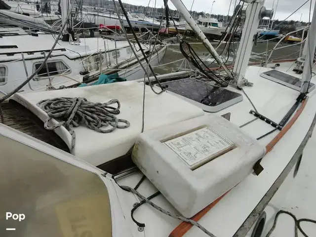 Rafiki 37 Cutter