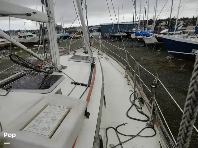 Rafiki 37 Cutter