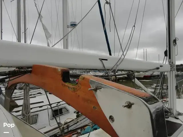 Rafiki 37 Cutter