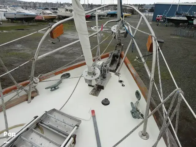 Rafiki 37 Cutter