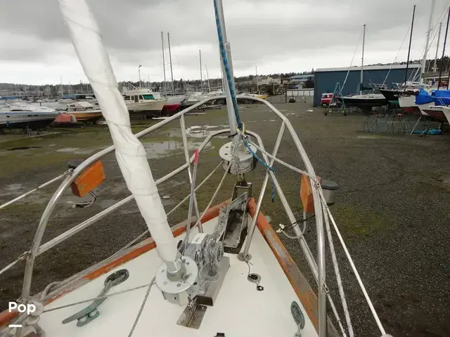 Rafiki 37 Cutter