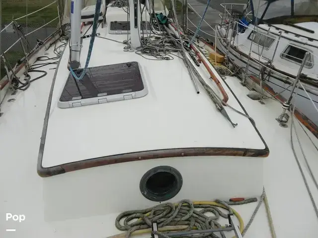 Rafiki 37 Cutter