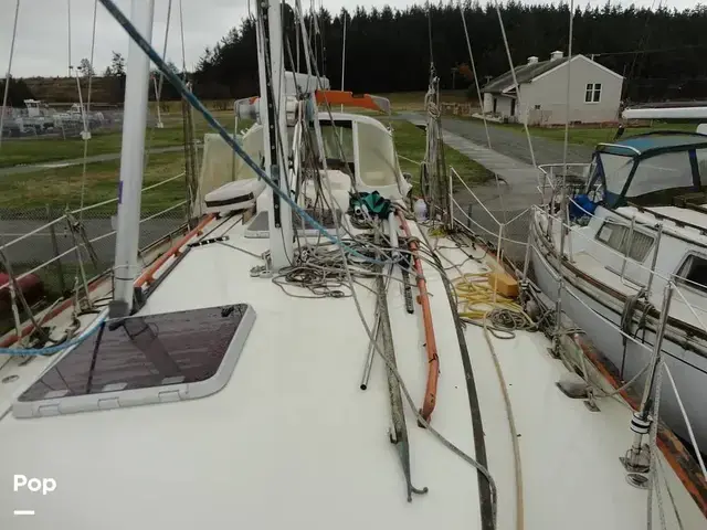 Rafiki 37 Cutter