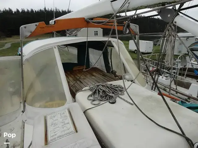 Rafiki 37 Cutter