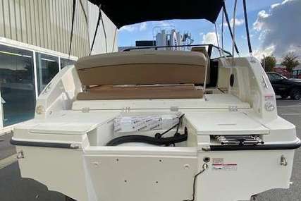 Quicksilver ACTIV 675 CRUISER