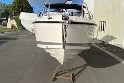 Quicksilver ACTIV 675 CRUISER