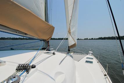 Lagoon 410