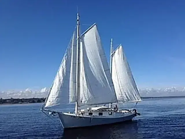 Custom Windward 28