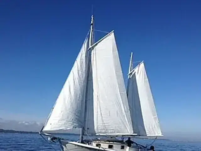 Custom Windward 28