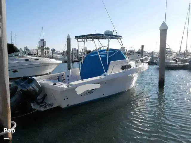 Pro Line 2550 Walkaround Mid-Cabin