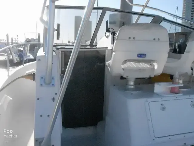 Pro Line 2550 Walkaround Mid-Cabin