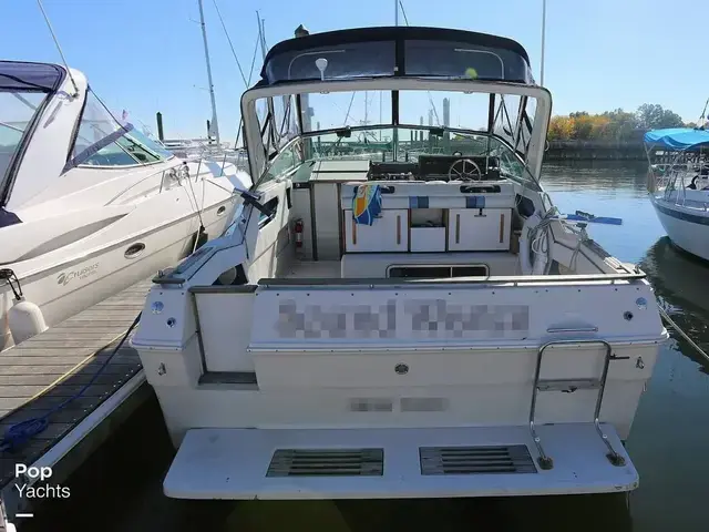 Sea Ray 300 Sundancer