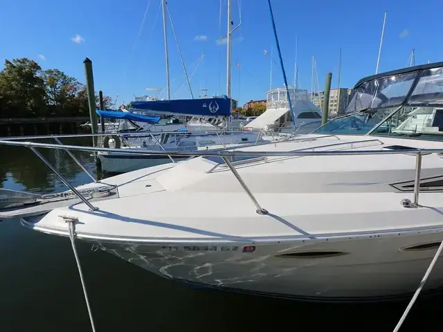 Sea Ray 300 Sundancer