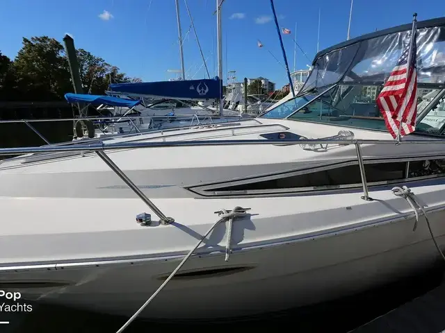 Sea Ray 300 Sundancer