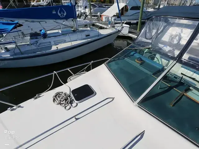 Sea Ray 300 Sundancer