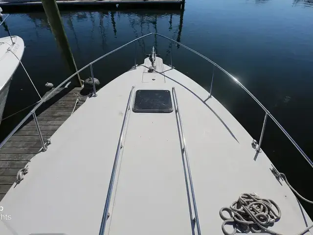 Sea Ray 300 Sundancer