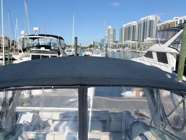 Sea Ray 300 Sundancer